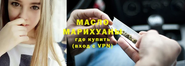 индика Мегион