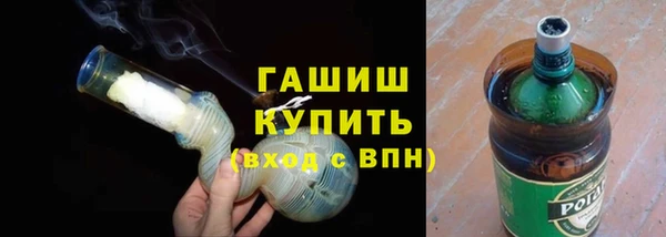 индика Мегион