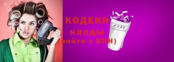 индика Мегион