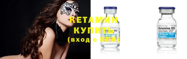 индика Мегион