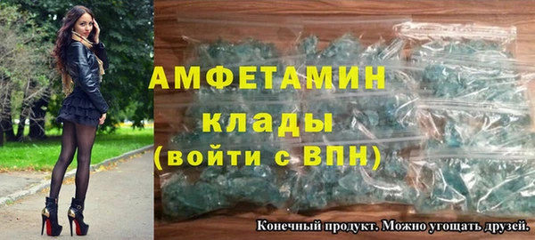 индика Мегион