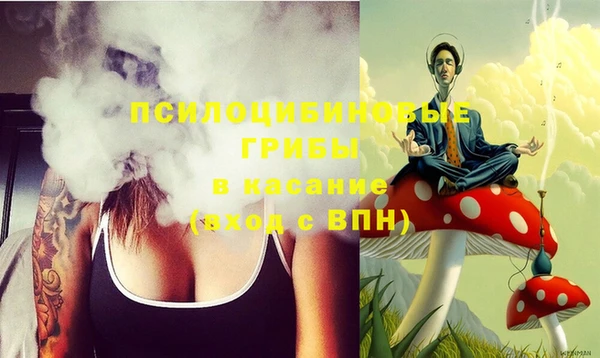 индика Мегион