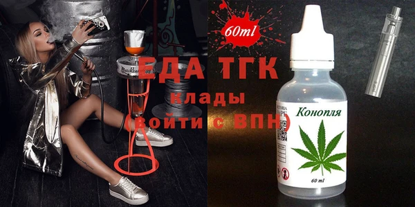 индика Мегион