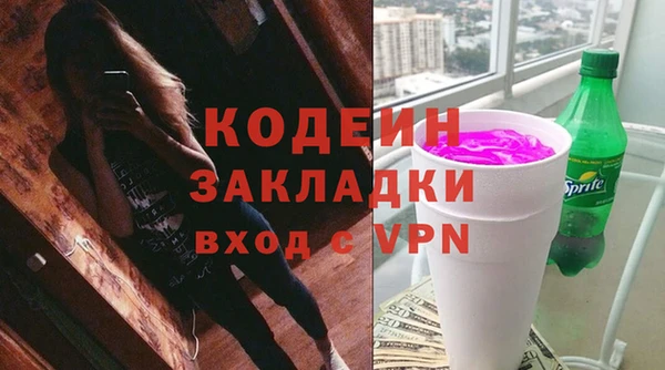 индика Мегион