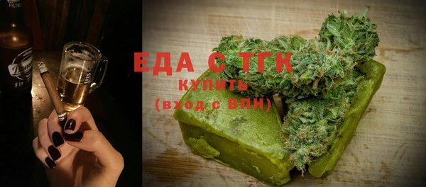 индика Мегион