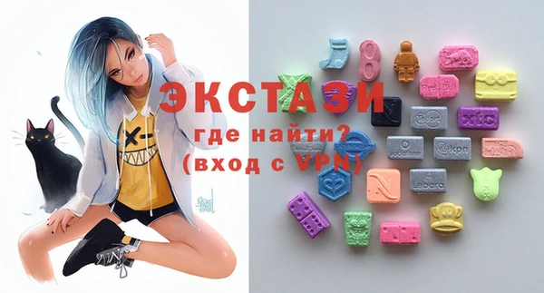 индика Мегион