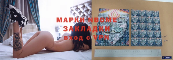 индика Мегион