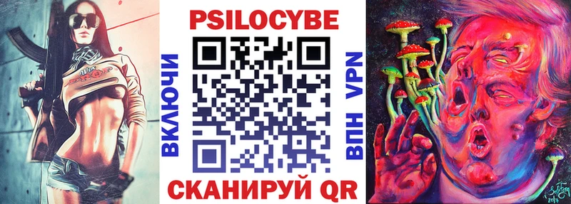 кракен онион  Михайловка  Псилоцибиновые грибы Magic Shrooms 