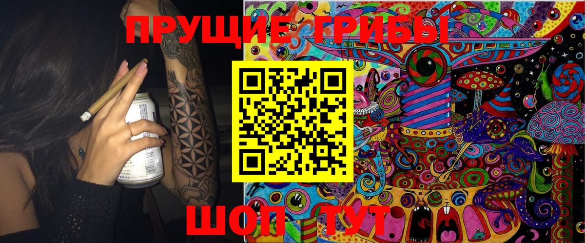 Псилоцибиновые грибы Cubensis Михайловка