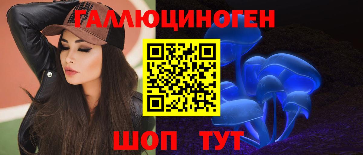 Галлюциногенные грибы Psilocybine cubensis  Псилоцибиновые грибы мицелий  Михайловка 